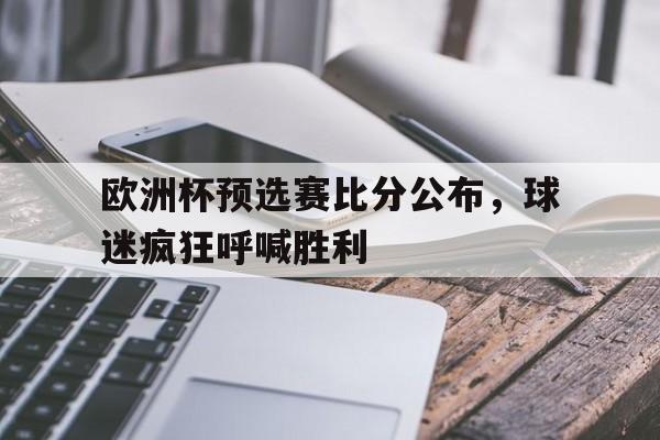 游戏模拟器APP下载-欧洲杯预选赛比分统计